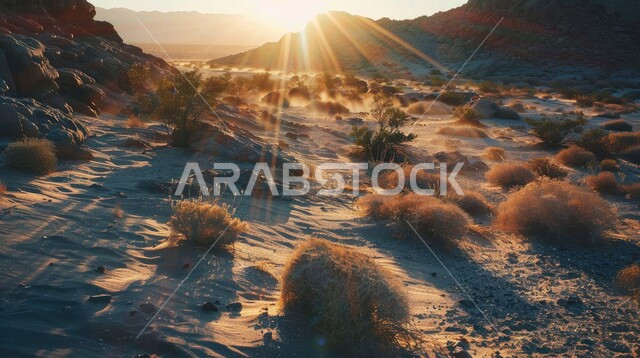 التضاريس و المرتفعات والقمم الجبلية في البراري، مناطق البادية والبيئة الطبيعية الصحراوية، التكوينات والتشكلات الرملية في صحراء المملكة العربية السعودية، الهضاب و التلال من الرمال الناعمة الذهبية، خلفية الطبيعة