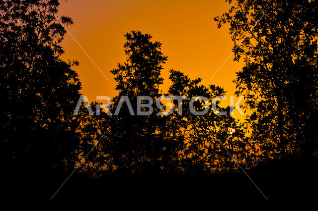 Scenic aesthetic picture of orange sunset, creative sunset from the desert, scenic beauty of desert nature at sunset
