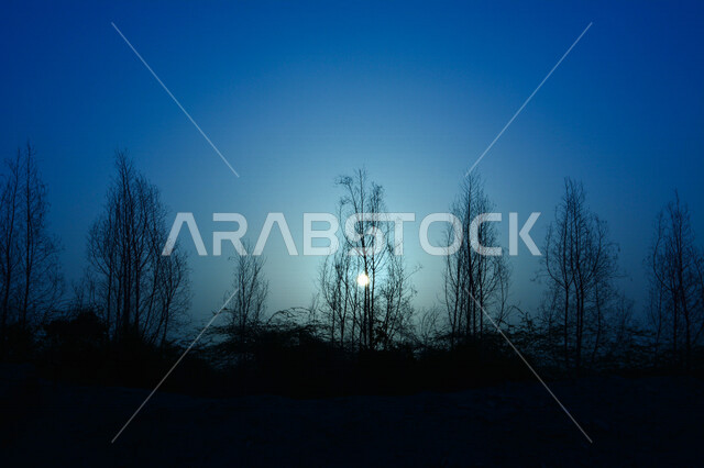 منظر رائع وخلاب للسماء ، صورة ظلية للاشجار والطبيعة الخلابة