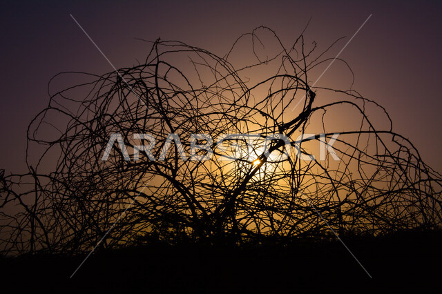 Scenic aesthetic picture of orange sunset, creative sunset from the desert, scenic beauty of desert nature at sunset
