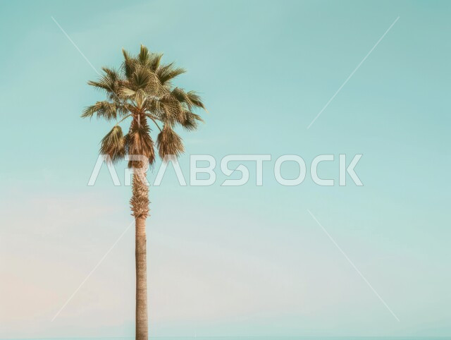 رسوم توضيحية لشجرة النخيل في المملكة العربية السعودية، الاهتمام بالزراعة والمحاصيل الزراعية والمنتجات المحلية الوطنية، الطبيعة الخلابة في الخليج العربي، حقول وأراضي زراعية