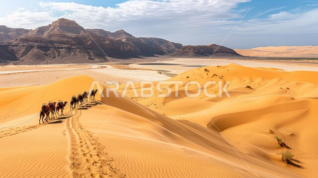 الاهتمام والعناية بالثدييات في المناطق الصحراوية، قافلة من الإبل تسير فوق الكثبان الرملية في الصحراء، تربية الجمال في المحميات الطبيعية، المناظر الطبيعية والرمال الذهبية الناعمة، أماكن سياحية في صحاري المملكة العربية السعودية