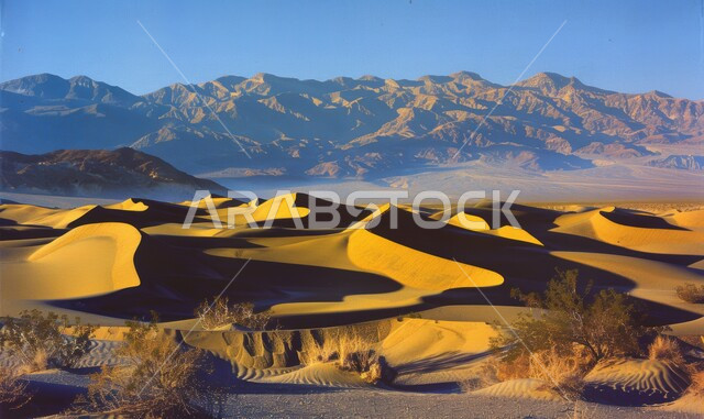 منظر الرمال الذهبية اللامعة في النهار, امتداد الصحراء العربية لمساحات واسعة, تشكل التلال والكثبان الرملية, البيئة والتضاريس الجافة للصحاري الخليجية, الطبيعة الصحراوية في المملكة العربية السعودية