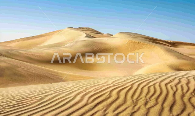 امتداد الصحراء العربية لمساحات واسعة, تشكل التلال والكثبان الرملية, البيئة والتضاريس الجافة للصحاري الخليجية, الطبيعة الصحراوية في المملكة العربية السعودية, منظر الرمال الذهبية اللامعة في النهار