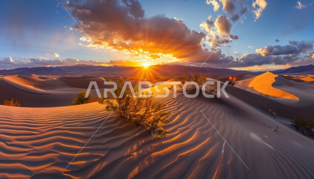 منظر غروب الشمس على الرمل صحاري الخليج العربي, الكثبان الرملية في المناطق الطبيعية الصحراوية, المساحات والأراضي الواسعة في المملكة العربية السعودية, الهضاب والتلال من الرمال الذهبية الناعمة في الصحراء العربية