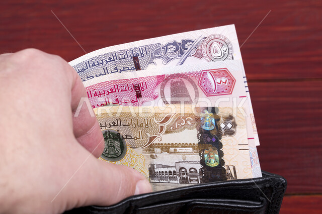 أموال الإمارات العربية المتحدة في المحفظة السوداء, الفئات المختلفة من العملات الورقية، الاقتصاد المالي للخليج العربي، الدراهم الاماراتية الورقية، النمو والأرباح المالية، العملة الرسمية للإمارات العربية المتحدة