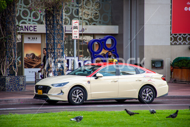 حركة مرور السيارات في الشوارع والطرقات، صورة مقربة لسيارة أجرة لنقل الركاب في مدينة دبي، وسائل النقل والمواصلات في الإمارات العربية المتحدة، الاهتمام بالتشجير وزراعة النباتات الخضراء