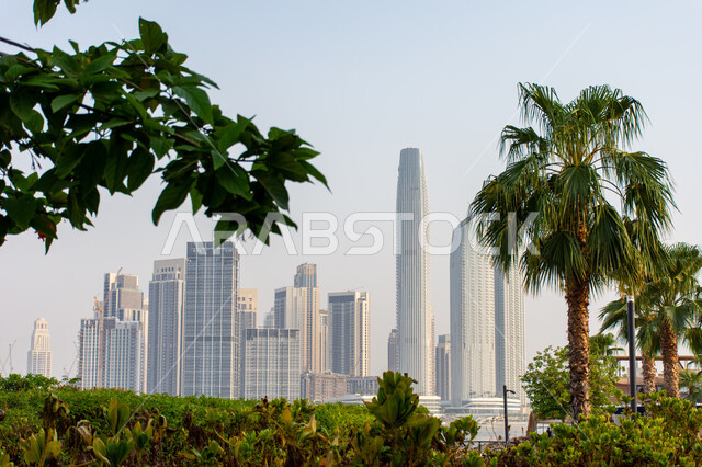 الاهتمام بزراعة الأشجار الخضراء في المدن, الفن الهندسي المعماري لبناء المنشآت و المباني على الطراز الحديث, التوسع العمراني في الإمارات العربية المتحدة, منظر الأبراج و ناطحات السحاب في منطقة خور بمدينة دبي في النهار