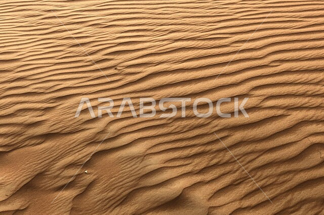 Soft golden sand formations in Saudi Arabia, landscape in desert environment, hills and sand dunes in the Rub al Khali desert, desert nature background