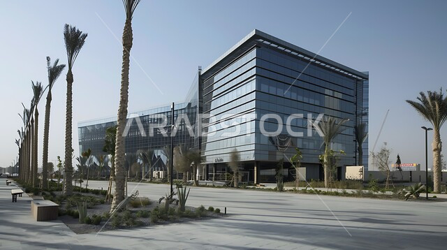 الاهتمام بزراعة الأشجار على أطراف الطرق, الفن الهندسي المعماري والتصميم المتطورللمكاتب في السعودية، ديكورات وتصاميم خارجية عصرية متميزة على الطراز الحديث, الواجهات الزجاجية الضخمة، جذب الزوار والسائحين من أنحاء العالم، النمو والتقدم العمراني في مدينة الرياض