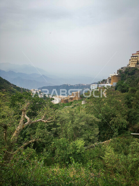 ممر طويل بين الجبال في وقت النهار,الاستمتاع بالمناظر الطبيعية في الأماكن السياحية في المملكة العربية السعودية،البيوت السكنية فوق القمم والمرتفعات الجبلية في محافظة فيفاء في مدينة جازان، الأشجار والنباتات الخضراء على السفوح ,خلفية السماء المليئة بالغيوم البيضاء