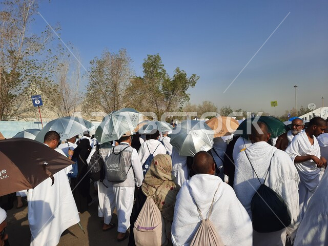 الحجاج منشغلون بالاستعداد للتوجه إلى ميدان عرفات صباح يوم التاسع من ذي الحجة في مكة المكرمة في موسم الحج في المملكة العربيه السعودية، اداء مناسك الحج والعمرة، معالم واماكن دينية اسلانية مقدسة،  العبادة والتقرب إلى الله ،وسائل النقل والمواصلات