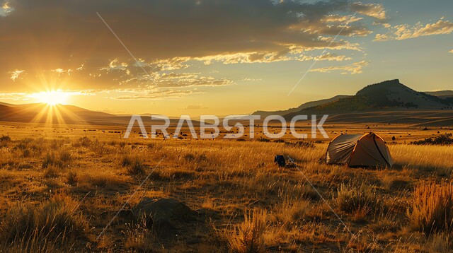 الحقول الزراعية في المملكة العربية السعودية، السماء الملبدة بالغيوم في وقت الغروب، الاشجار والنباتات والمحاصيل المحلية الوطنية، أعشاب وسنابل ذهبية تنمو في الأراضي البرية، المرتفعات والتضاريس الجبلية، خلفية الطبيعة
