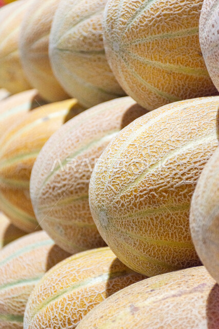 سوق الخضار والفواكه بمنطقة الديرة بمدينة دبي بالإمارات، المنتجات والمحاصيل الزراعية الوطنية، موسم قطاف المحصول الزراعي، مأكولات صحية ومفيدة, الاهتمام بالزراعة المحلية والاكتفاء الذاتي، بيع الخضار والفواكه الطازجة في الأسواق الشعبية، صورة مقربة لفاكهة الشمام 