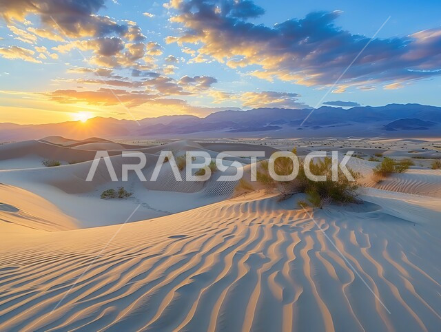 البيئة الرملية وقت غروب الشمس، الهضاب والتلال في المناطق الطبيعية الصحراوية، الرمال الذهبية الناعمة والكثبان في صحراء المملكة العربية السعودية، نمو النباتات البرية في الصحاري، خلفية الطبيعه