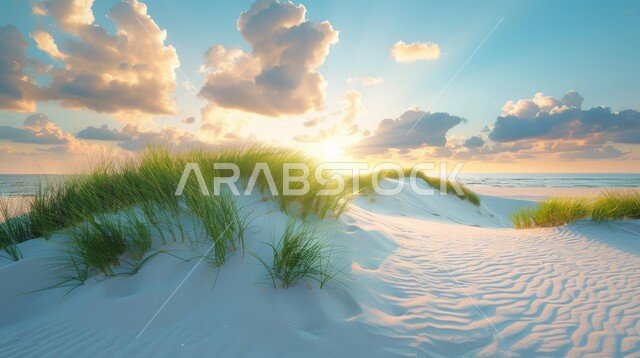 منظر السماء الملبدة بالغيوم القطنية البيضاء, الكثبان الرملية والأعشاب في المناطق الطبيعية الصحراوية، المساحات والأراضي الواسعة في المملكة العربية السعودية، الهضاب والتلال من الرمال الذهبية الناعمة في الصحراء العربية