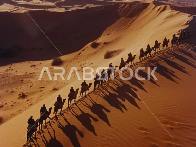حيوانات التنقل و الترحال في القدم، قافلة من الإبل تسير فوق الكثبان الرملية في طريق صحراوي، تربية الجمال والنوق العربية في المحميات الطبيعية في البادية، المناظر الطبيعية والرمال الذهبية الناعمة في المملكة العربية السعودية، الحياة البدوية الشعبية القديمة 