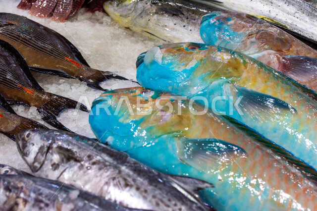 سمك صحي وطازج, فوائد الأسماك الغذائية، سوق السمك بمنطقة الديرة بمدينة دبي بالإمارات، احتراف مهنة الصيد في الامارات العربيه المتحده, مأكولات و كائنات بحريه طازجة في أسواق إمارة دبي، أطعمة بحرية غنية بالبروتين