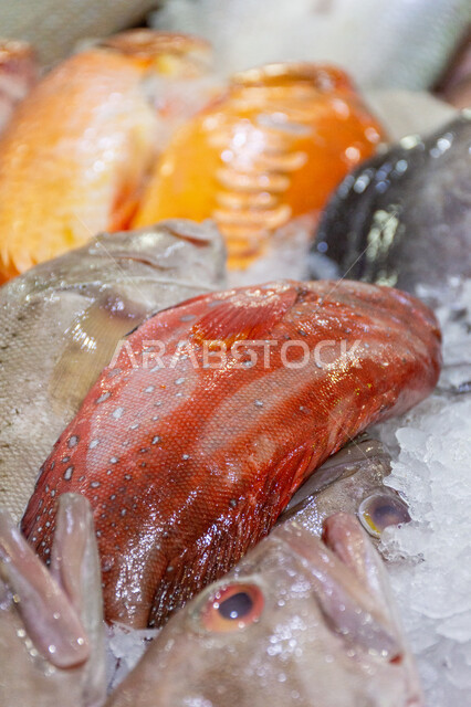 سمك صحي وطازج, فوائد الأسماك الغذائية, سوق السمك بمنطقة الديرة, أطعمة بحرية غنية بالبروتين, مأكولات و كائنات بحريه طازجة في أسواق إمارة دبي، احتراف مهنة الصيد في الامارات العربيه المتحده