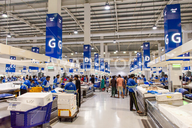 العمال والزوار داخل سوق السمك بمنطقة الديرة, سمك صحي وطازج, فوائد الأسماك الغذائية, أطعمة غنية بالبروتين, مأكولات و كائنات بحريه طازجة في أسواق إمارة دبي, احتراف مهنة الصيد في الامارات العربيه المتحده