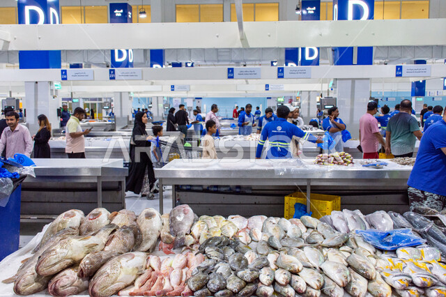 Workers and visitors inside the fish market in the Deira area, healthy and fresh fish, nutritional benefits of fish, foods rich in protein, fresh seafood and seafood in the markets of the Emirate of Dubai, professional fishing in the United Arab Emirates