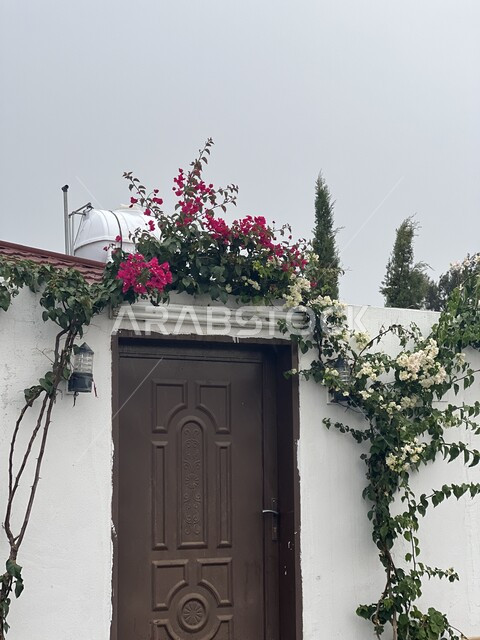 الفن الهندسي المعماري في بناء البيوت والمنازل القديمة في مدينة الطائف بالمملكة العربية السعودية، باب منزل خارجي بني اللون محاط بقوس من نباتات الزينة الخضراء والورود الملونة، خلفية السماء الملبدة بالغيوم الكثيفة المحملة بالأمطار، أجواء الشتاء في المدن والأحياء