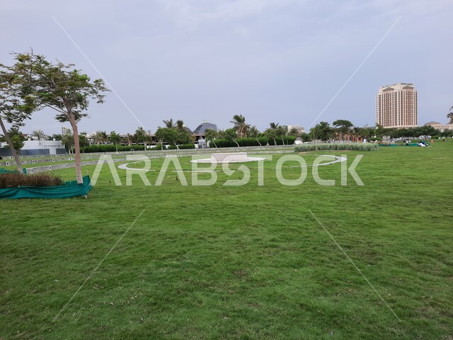Gardens and parks in Jeddah Corniche in the Kingdom of Saudi Arabia, trees and green plants, famous landmarks, picturesque nature, tourism in Saudi Arabia