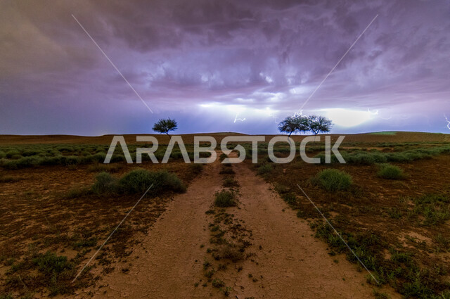 الأجواء الشتوية في صحراء المملكة، الكوارث والظواهر الطبيعية، عاصفة رعدية تضرب صحاري السعودية، منظر البرق والرعد في السماء، الأشجار والأعشاب الخضراء  