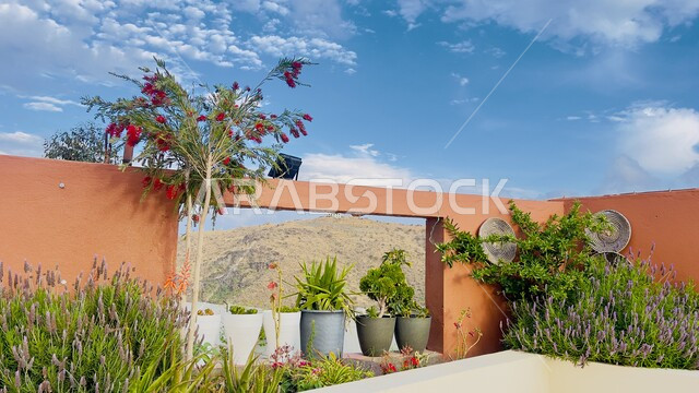 الفنون والتصاميم الهندسية والتراث العربي في مدينه جدة، المعالم والأماكن التاريخية السياحية المشهورة في المملكة العربية السعودية، المباني الأثرية المصنوعة من الحجر المرجاني في البلد التاريخي، التصميمات المعقدة للبناء المعماري العربي القديم