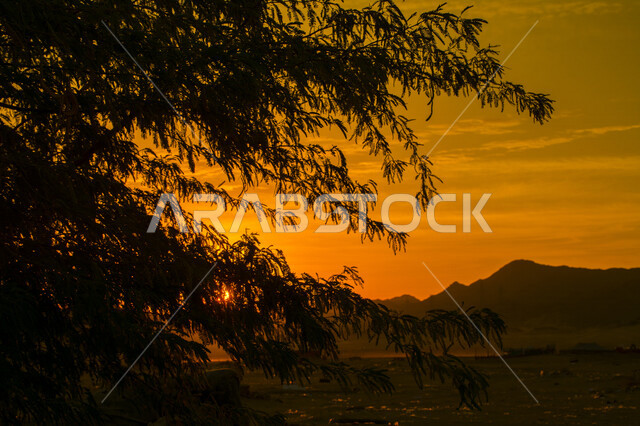 صورة جمالية خلابة لغروب وشروق الشمس البرتقالي , غروب وشروق الشمس الإبداعي في صحراء جدة , جمال الطبيعة الصحراوية الخلابة في وقت غروب وشروق الشمس ، صورة ظلية للجبال والطبيعة الخلابة بالسعودية
