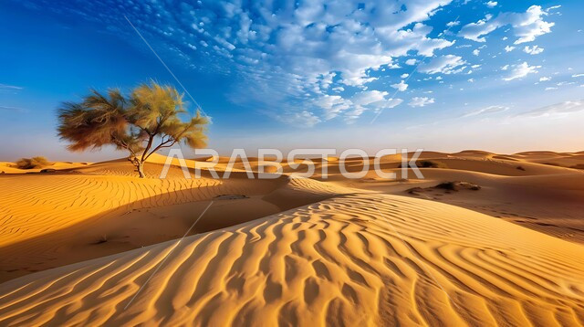 التكوينات والتشكلات الرملية في صحراء المملكة العربية السعودية، الرمال الذهبية الناعمة والكثبان في الصحراء العربية، خلفية طبيعية