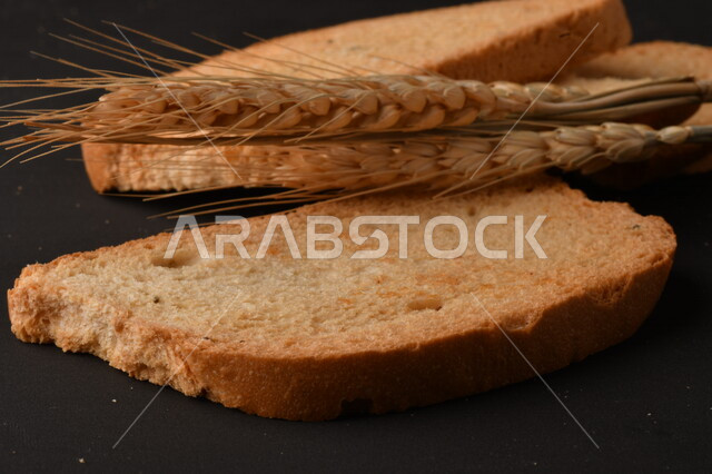 Set of wheat plants, toasted toast slices on black background