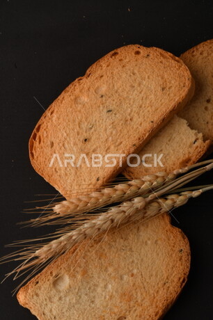 Set of wheat plants, toasted toast slices on black background