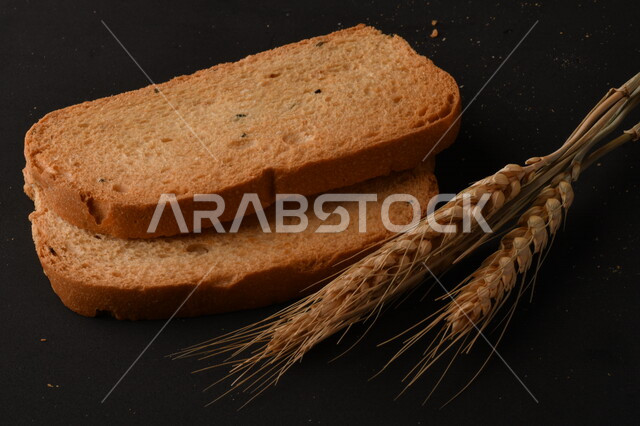 Set of wheat plants, toasted toast slices on black background