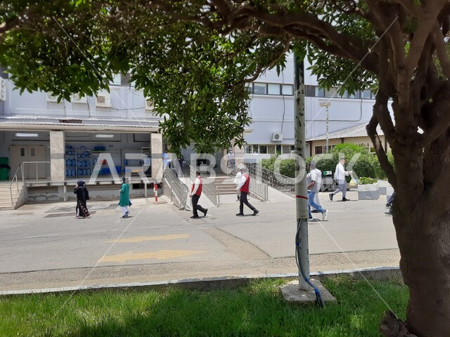 الاهتمام بالنباتات الخضراء, موقف السيارات للمراكز الطبية في المنطقة الجبلية، طريق مستشفى الملك فهد في الباحة، تهيئة وتجهيز المدن في الجبال والقمم والمرتفعات الصخرية, خدمات والعناية الصحية في المملكة العربية السعودية