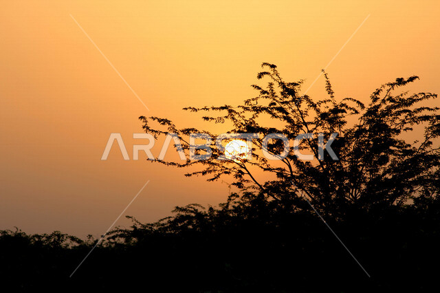 صورة جمالية خلابة لغروب وشروق الشمس البرتقالي , غروب وشروق الشمس الإبداعي من الصحراء, جمال الطبيعة الصحراوية الخلابة في وقت غروب وشروق الشمس ، صورة ظلية للجبال والطبيعة الخلابة ، منظر رائع وخلاب في سماء السعودية