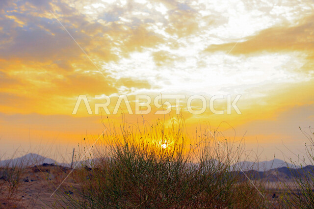 صورة جمالية خلابة لغروب وشروق الشمس , غروب وشروق الشمس الإبداعي من الصحراء, جمال الطبيعة الصحراوية الخلابة في وقت غروب وشروق الشمس منظر رائع وخلاب في سماء السعودية