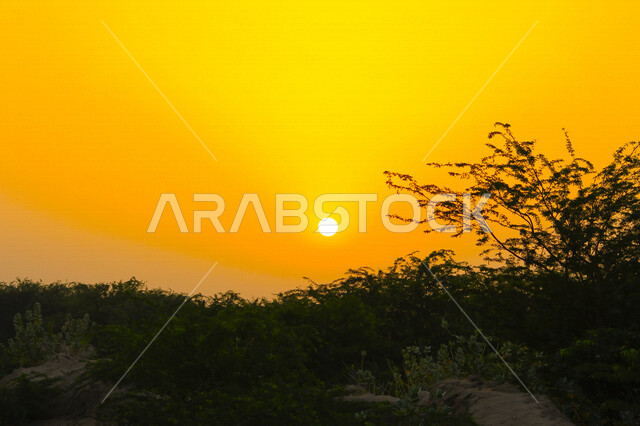 A picturesque aesthetic picture of sunset and sunrise, creative sunset and sunrise from the desert, beautiful desert nature at sunset and sunrise, silhouette of mountains and picturesque nature, a wonderful and breathtaking view in the sky of Saudi Arabia