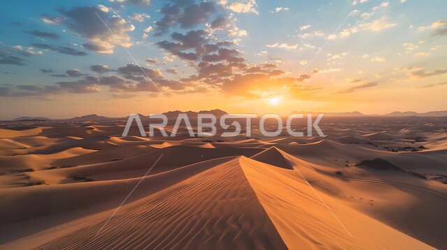  الهضاب والتلال الرملية في البيئة  وقت غروب الشمس، نمو النباتات الخضراء والأعشاب البرية في الأراضي الصحراوية ،  الكثبان والرمال الذهبية الناعمة في صحراء المملكة العربية السعودية،  خلفيه الطبيعه