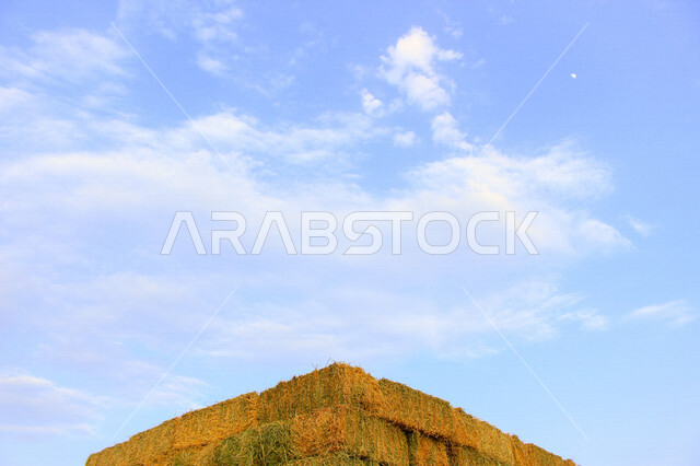 مناظر طبيعية خلابة في سماء المملكة العربية السعودية