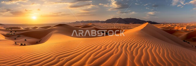  الهضاب والتلال الرملية في البيئة  وقت غروب الشمس، نمو النباتات الخضراء والأعشاب البرية في الأراضي الصحراوية ،  الكثبان والرمال الذهبية الناعمة في صحراء المملكة العربية السعودية،  خلفيه الطبيعه