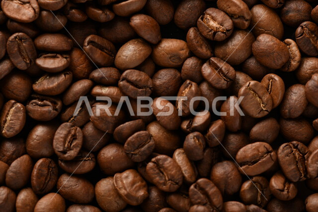Coffee beans (coffee plant seed) a kind of mental stimulant beverage, roasted coffee seeds, natural fresh coffee seeds