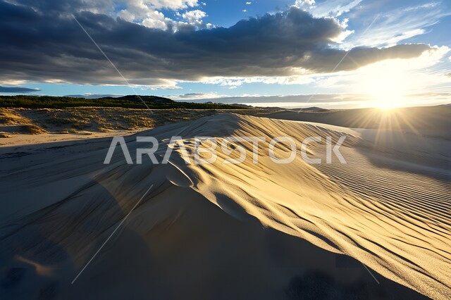 منظر أشعة الشمس على الرمال الذهبية الناعمة, الكثبان الرملية الكثيفة في الصحراء, التضاريس و المرتفعات في صحاري المملكة العربية السعودية, الطبيعة الصحراوية الجافة