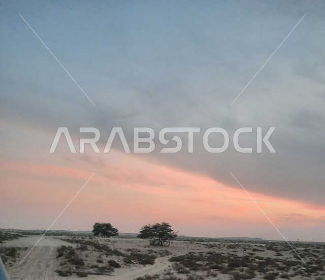 نمو الشوكيات والأعشاب في براري المملكة العربية السعودية, منظر السماء المليئة بالغيوم و السحب, التضاريس و الكثبان الرملية في الصحاري, الرمال الناعمة الذهبية في الصحراء