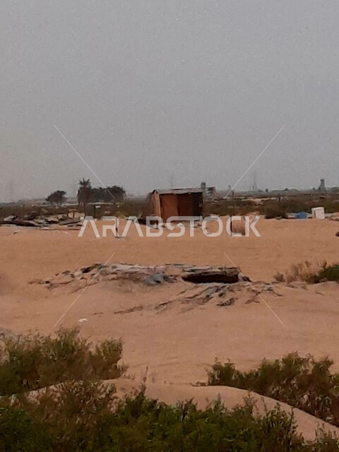 التضاريس و الكثبان الرملية في الصحاري, الرمال الناعمة الذهبية في الصحراء, نمو الشوكيات والأعشاب في براري المملكة العربية السعودية, منظر السماء المليئة بالغيوم و السحب