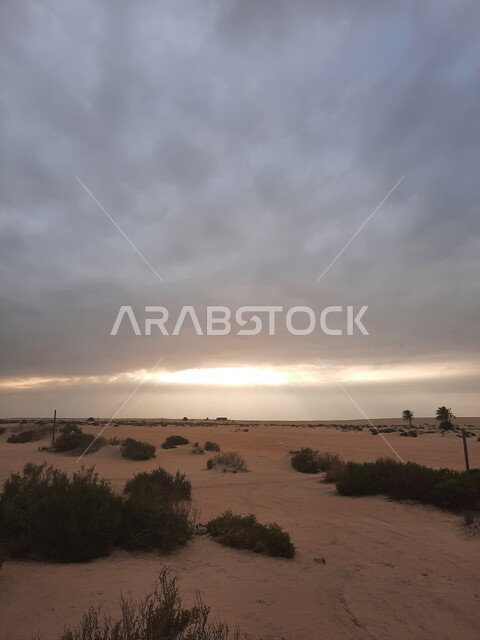 نمو الشوكيات والأعشاب في براري المملكة العربية السعودية, منظر السماء المليئة بالغيوم و السحب, التضاريس و الكثبان الرملية في الصحاري, الرمال الناعمة الذهبية في الصحراء