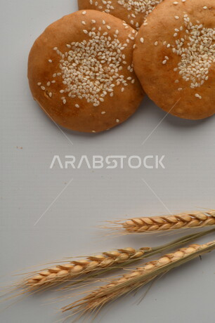 مجموعة من نباتات القمح ، صورة مقربة لبسكويت القمح الهشة والمقرمشة على خلفية بيضاء