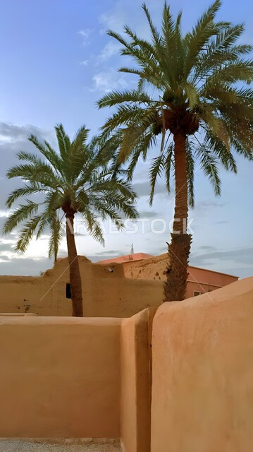 أشجار النخيل الخضراء المحيطة بالمنشآت التاريخية القديمة, معالم السياحة المشهورة، التصاميم الهندسية المعمارية للمباني الطينية على الطراز القديم، المواقع الأثرية السياحية في السعودية