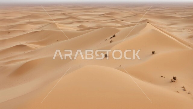 الجو الجاف والقاسي في الأراضي القاحلة، الرمال الذهبية الناعمة والكثبان في صحراء المملكة العربية السعودية, البيئة الرملية في وقت النهار، الهضاب والتلال في المناطق الطبيعية الصحراوية، خلفية الطبيعه