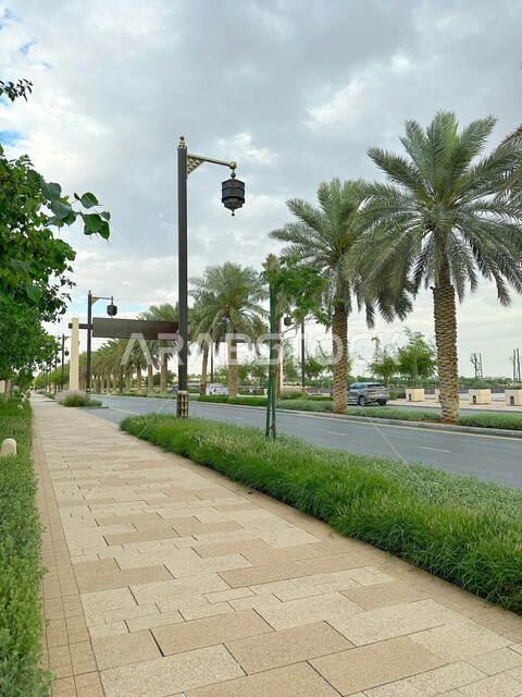 التجهيزات الطرقية في منطقة الدرعية, أشجار النخيل الخضراء, مناطق السياحة المشهورة, الشوارع الاسفلتية والطرقات المعبدة في مدينة الرياض, الاستمتاع بالمناظر الطبيعية الهادئة في النهار في المملكة العربية السعودية